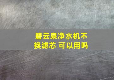 碧云泉净水机不换滤芯 可以用吗